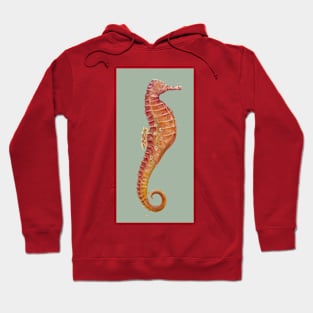 Seahorse (Light Khaki Green) Hoodie